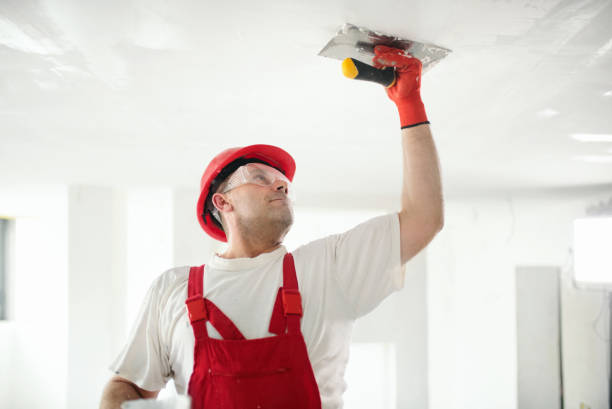 Best Residential Painting  in Pontiac, MI